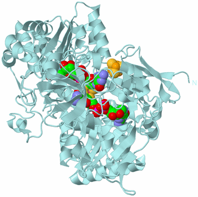 Image Biological Unit 2