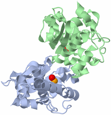 Image Biological Unit 1