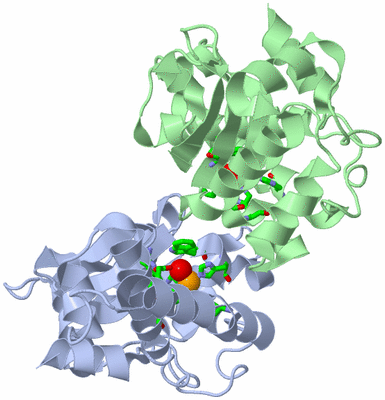 Image Biol. Unit 1 - sites