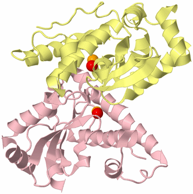 Image Biological Unit 2