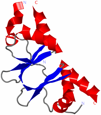 Image Asymmetric Unit