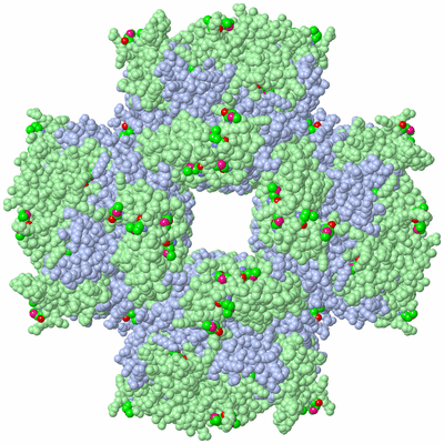 Image Biological Unit 2