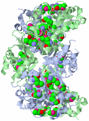 Image Biological Unit 3