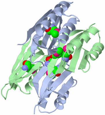 Image Asym./Biol. Unit