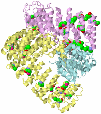 Image Biological Unit 2