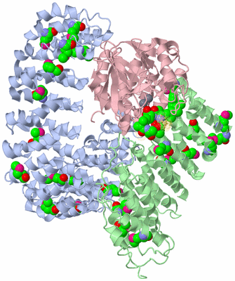 Image Biological Unit 1