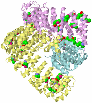 Image Biological Unit 2