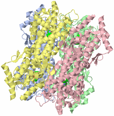 Image Asym./Biol. Unit