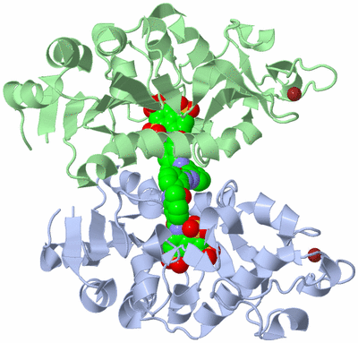 Image Biological Unit 1