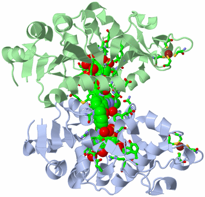 Image Biol. Unit 1 - sites