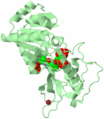 Image Biological Unit 3