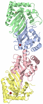 Image Asym./Biol. Unit