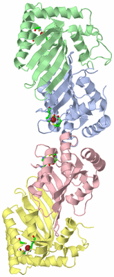 Image Asym./Biol. Unit - sites