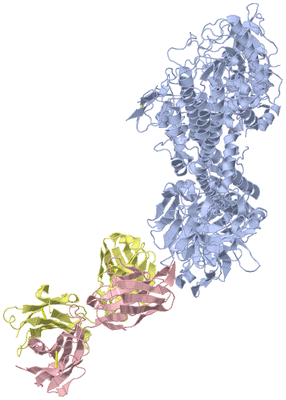 Image Asym./Biol. Unit