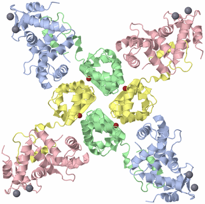 Image Biological Unit 1