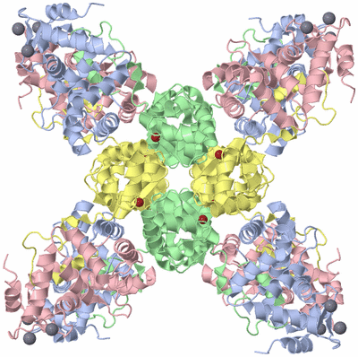 Image Biological Unit 2