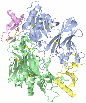 Image Biological Unit 1