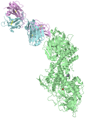 Image Biological Unit 2