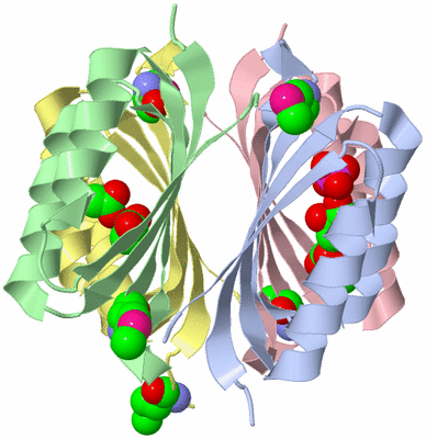 Image Asym./Biol. Unit