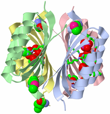 Image Asym./Biol. Unit - sites