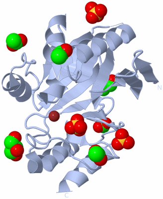 Image Biological Unit 1