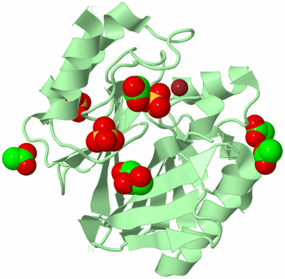 Image Biological Unit 2