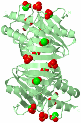 Image Biological Unit 3