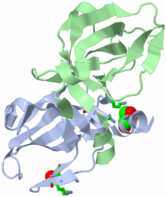 Image Biol. Unit 1 - sites