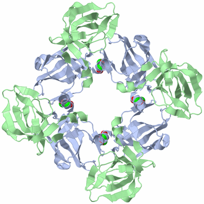 Image Biological Unit 2