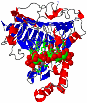 Image Asym./Biol. Unit - sites