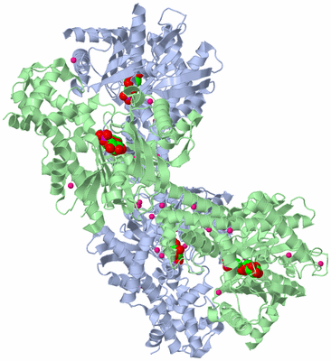 Image Asym./Biol. Unit