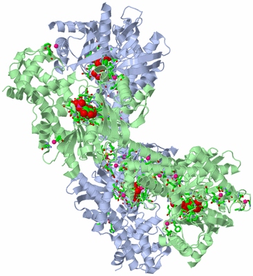 Image Asym./Biol. Unit - sites