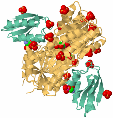 Image Biological Unit 1