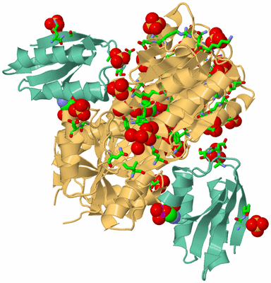 Image Biol. Unit 1 - sites