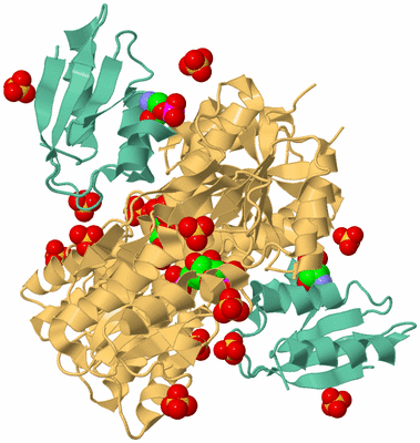 Image Biological Unit 1