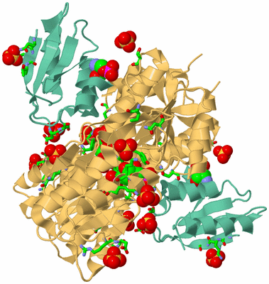 Image Biol. Unit 1 - sites