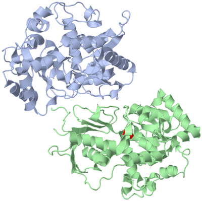 Image Biological Unit 1