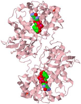 Image Biological Unit 2