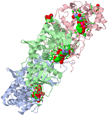 Image Asym. Unit - sites