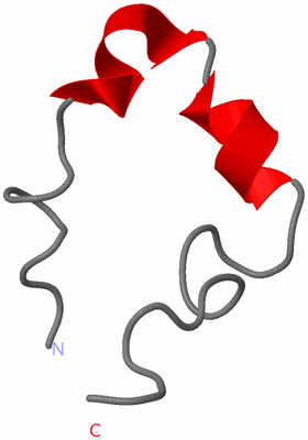 Image NMR Structure - model 1