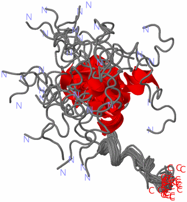 Image NMR Structure - all models