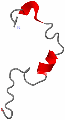 Image NMR Structure - model 1