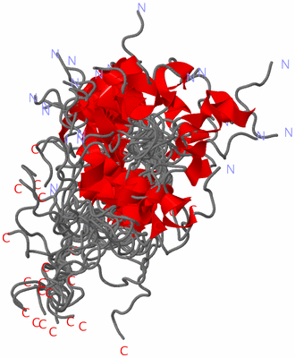 Image NMR Structure - all models