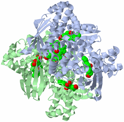 Image Biological Unit 3