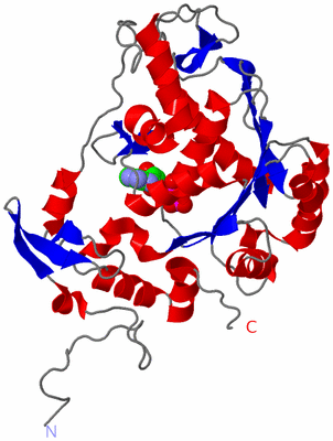 Image Asym./Biol. Unit