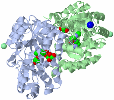 Image Asym./Biol. Unit