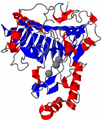 Image Asym./Biol. Unit