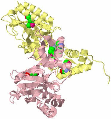 Image Biological Unit 2