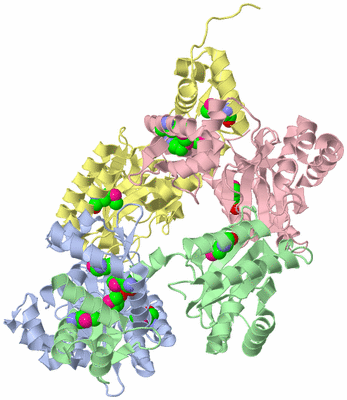 Image Biological Unit 3