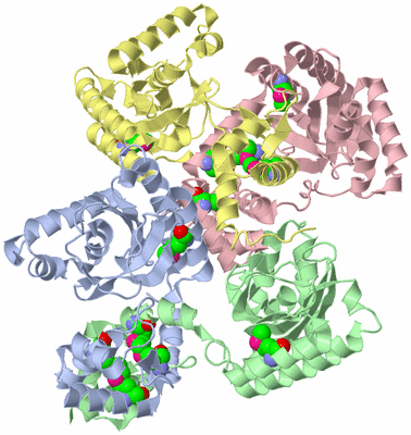 Image Biological Unit 4